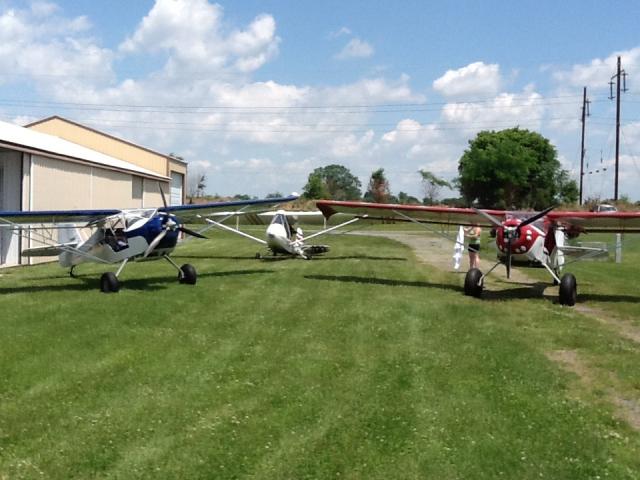 Billy's new kit fox on left.