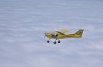 Kitfox Vixen N24V in flight (photo lifted from previous owner)