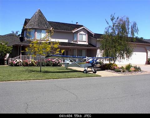 Kitfox in the Front Yard